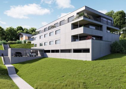 Architektur Visualisierungen Neubau MFH in Berneck