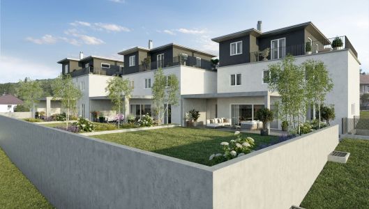 Architekturvisualisierung Projekt Neubau EFH Tegerfelden Architekturvisualisierung Projekt Neubau EFH Tegerfelden