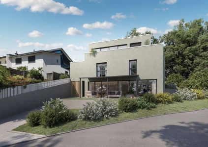 3d visualisierung einfamilienhaus moderner neubau 3d visualisierung einfamilienhaus moderner neubau